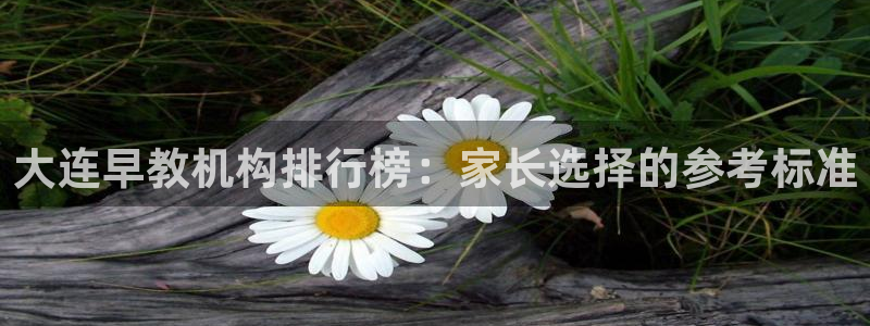 天顺娱乐是谁旗下：大连早教机构排行榜：家长选择的参考标准