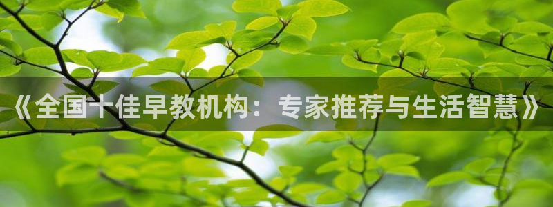 天顺娱乐官方网站：《全国十佳早教机构：专家推荐与生活智慧》