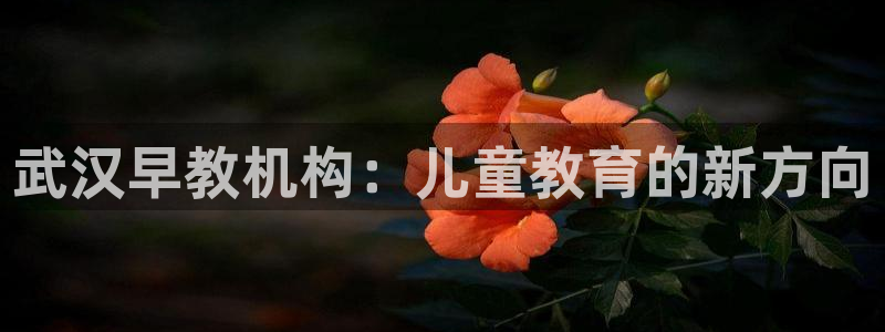 天顺娱乐酒店：武汉早教机构：儿童教育的新方向