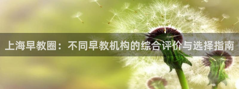 天顺娱乐01i判官333OO：上海早教圈：不同早教机构的综合评价与选择指南