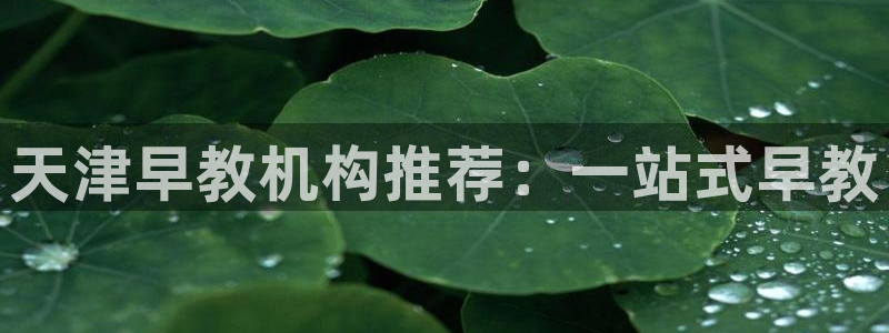 天顺娱乐是谁旗下：天津早教机构推荐：一站式早教