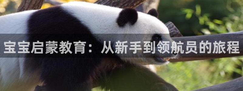 天顺娱乐高33300：宝宝启蒙教育：从新手到领航员的旅程