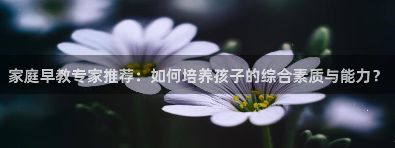 长沙天顺娱乐怎么样啊：家庭早教专家推荐：如何培养孩子的综合素质与能力？