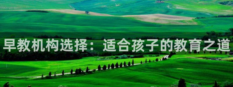 天顺娱乐地址查询官网：早教机构选择：适合孩子的教育之道