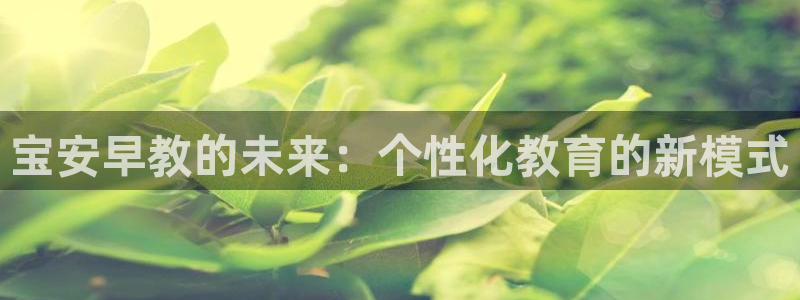 天富天顺娱乐：宝安早教的未来：个性化教育的新模式