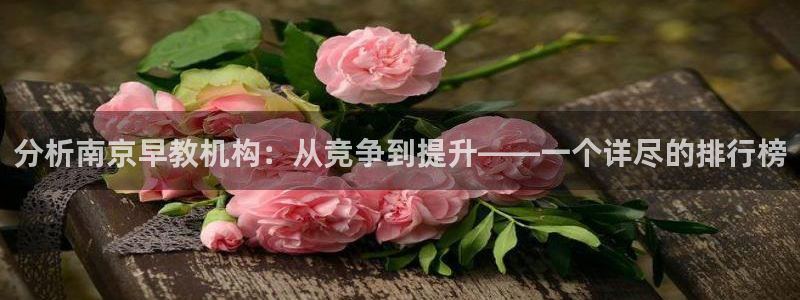 天顺娱乐戏78778卧：分析南京早教机构：从竞争到提升——一个详尽的排行榜