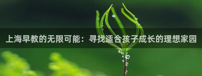 天顺娱乐火几秦奋83334j：上海早教的无限可能：寻找适合孩子成长的理想家园