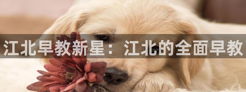 天顺娱乐登陆地址：江北早教新星：江北的全面早教