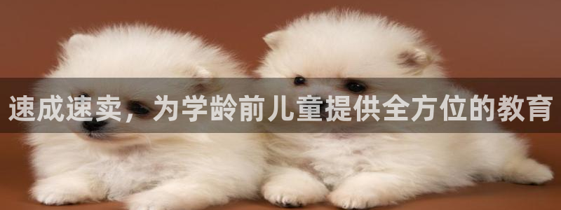 娱乐主播聊天顺序怎么排：速成速卖，为学龄前儿童提供全方位的教育