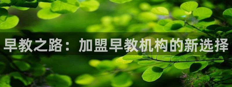 天顺娱乐时时彩：早教之路：加盟早教机构的新选择