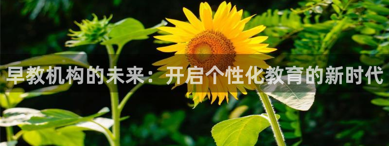 天顺娱乐律睦55312：早教机构的未来：开启个性化教育的新时代