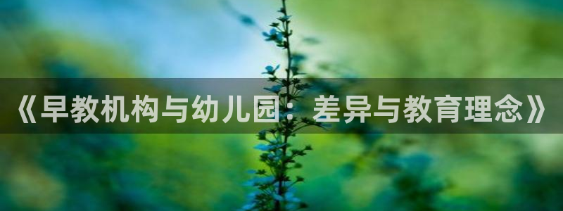 天顺娱乐信老32oo59兜：《早教机构与幼儿园：差异与教育理念》