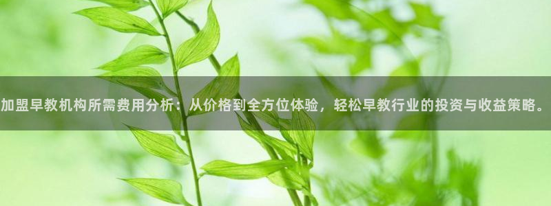 天顺娱乐订房：加盟早教机构所需费用分析：从价格到全方位体验，轻松早教行业的投资与