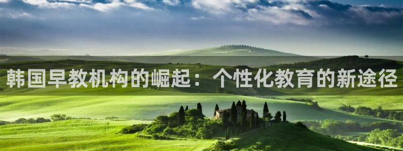 汝城天顺娱乐怎么样：韩国早教机构的崛起：个性化教育的新途径