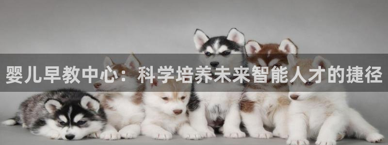 天顺娱乐厥78778卧：婴儿早教中心：科学培养未来智能人才的捷径