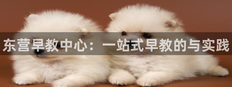 天顺娱乐羌333oo：东营早教中心：一站式早教的与实践