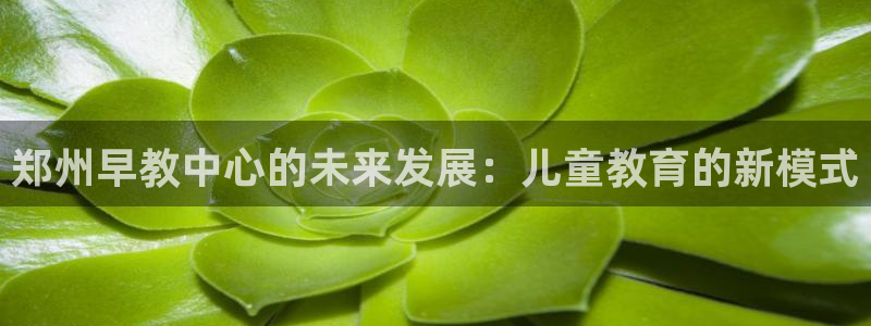 天顺娱乐来忧70648：郑州早教中心的未来发展：儿童教育的新模式