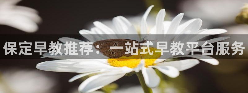 天顺娱乐 q注册38237：保定早教推荐：一站式早教平台服务