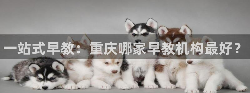 天顺休闲娱乐中心电话：一站式早教：重庆哪家早教机构最好？