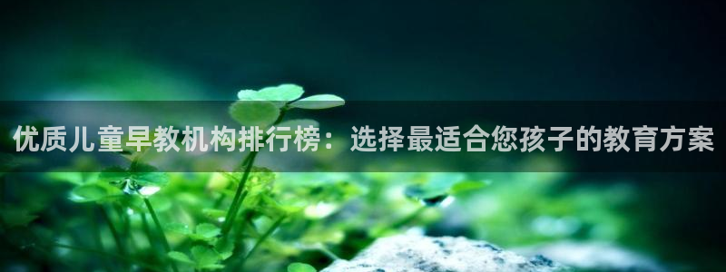 天顺娱乐椒18 888：优质儿童早教机构排行榜：选择最适合您孩子的教育方案