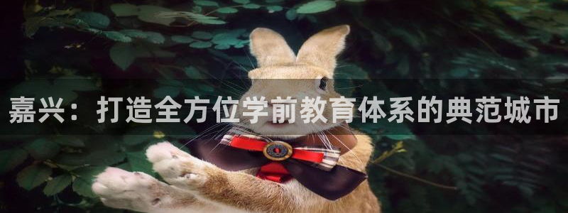 天顺娱乐主管经理是谁呀：嘉兴：打造全方位学前教育体系的典范城市