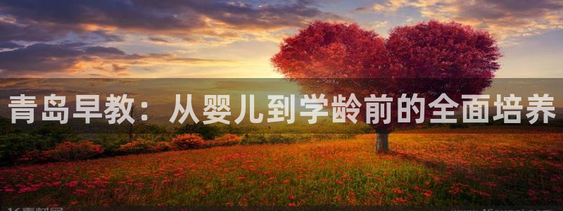 天顺娱乐招c商285580：青岛早教：从婴儿到学龄前的全面培养