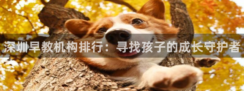 天顺娱乐汾78778：深圳早教机构排行：寻找孩子的成长守护者