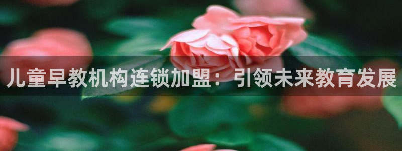 北京天顺园饮食娱乐中心：儿童早教机构连锁加盟：引领未来教育发展