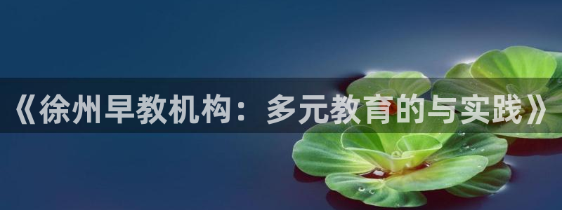 天顺娱乐固70 48：《徐州早教机构：多元教育的与实践》