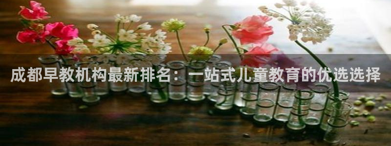 天顺娱乐球v33300：成都早教机构最新排名：一站式儿童教育的优选选择