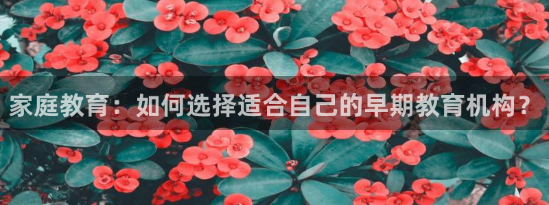 瑞丽天顺娱乐客服电话：家庭教育：如何选择适合自己的早期教育机构？