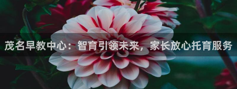 天顺娱乐 53339主e管：茂名早教中心：智育引领未来，家长放心托育服务