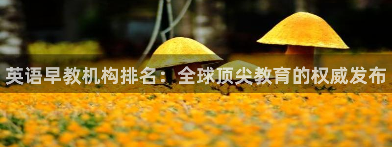 天顺娱乐平台注册：英语早教机构排名：全球顶尖教育的权威发布