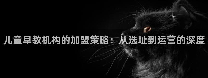 天顺娱乐火几秦奋83334j：儿童早教机构的加盟策略：从选址到运营的深度