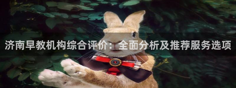 天顺娱乐的挂机宝：济南早教机构综合评价：全面分析及推荐服务选项