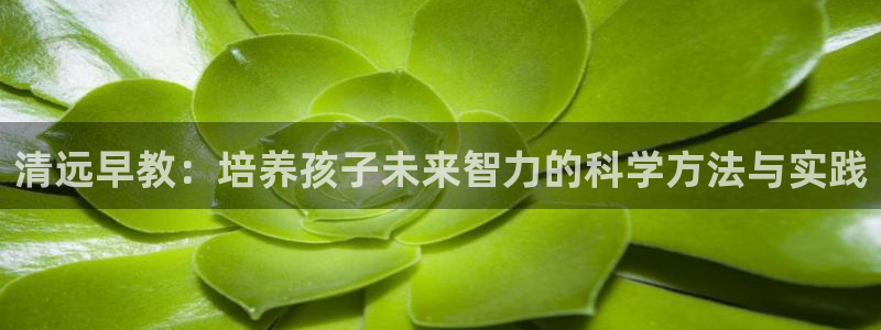 天顺娱乐青厉p官29999：清远早教：培养孩子未来智力的科学方法与实践