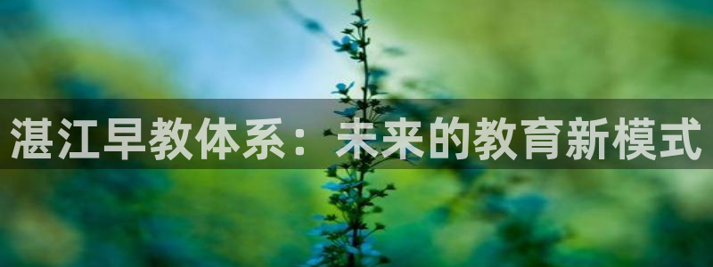天顺娱乐主管年薪是多少：湛江早教体系：未来的教育新模式