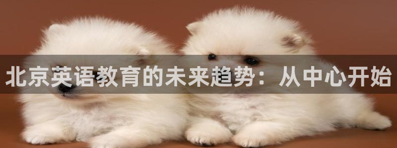 天顺娱乐寸67五壹叁八：北京英语教育的未来趋势：从中心开始
