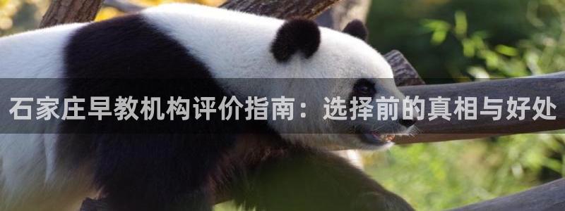 天顺娱乐注册首页：石家庄早教机构评价指南：选择前的真相与好处