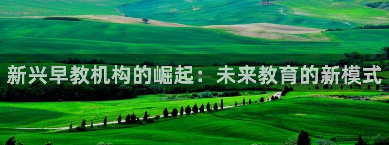 天顺娱乐落来判p29999：新兴早教机构的崛起：未来教育的新模式