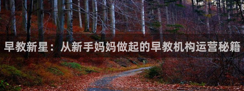 天顺娱乐卜六七五一三八：早教新星：从新手妈妈做起的早教机构运营秘籍