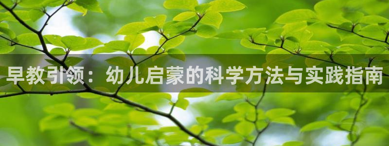 天顺娱乐千67五壹叁八：早教引领：幼儿启蒙的科学方法与实践指南
