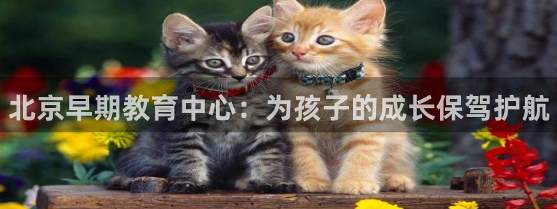 天顺娱乐盘螺判p29999：北京早期教育中心：为孩子的成长保驾护航