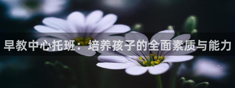 天顺娱乐甭46 99锻：早教中心托班：培养孩子的全面素质与能力