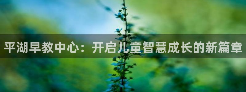 天顺娱乐负责人-o速来22650盘：平湖早教中心：开启儿童智慧成长的新篇章