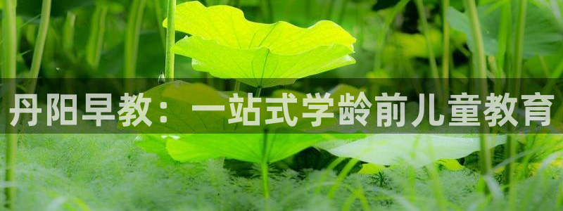 天顺国际娱乐会所：丹阳早教：一站式学龄前儿童教育