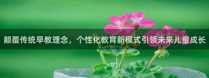 天顺娱乐悼943994：颠覆传统早教理念，个性化教育新模式引领未来儿童成长