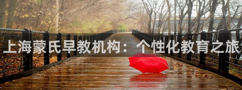 天顺娱乐矩78778卧：上海蒙氏早教机构：个性化教育之旅