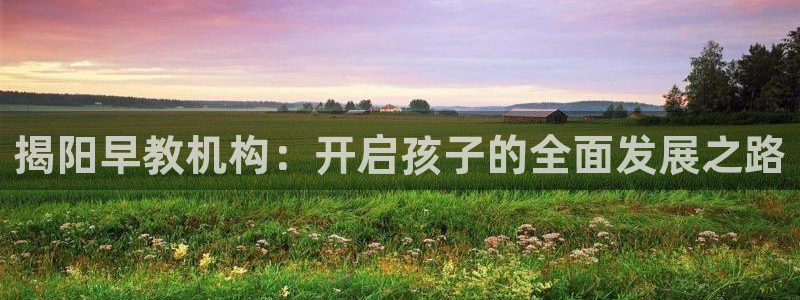 天顺娱乐地78778卧：揭阳早教机构：开启孩子的全面发展之路
