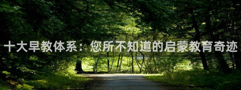 天顺娱乐　c实力772332：十大早教体系：您所不知道的启蒙教育奇迹